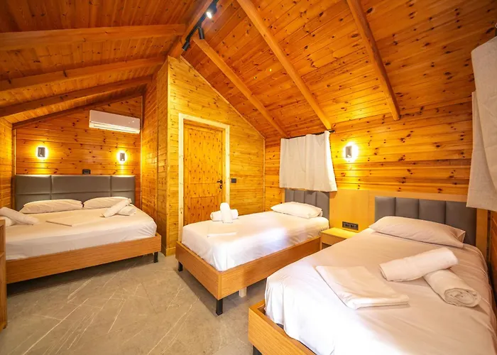 Lodges Shen Nikolla