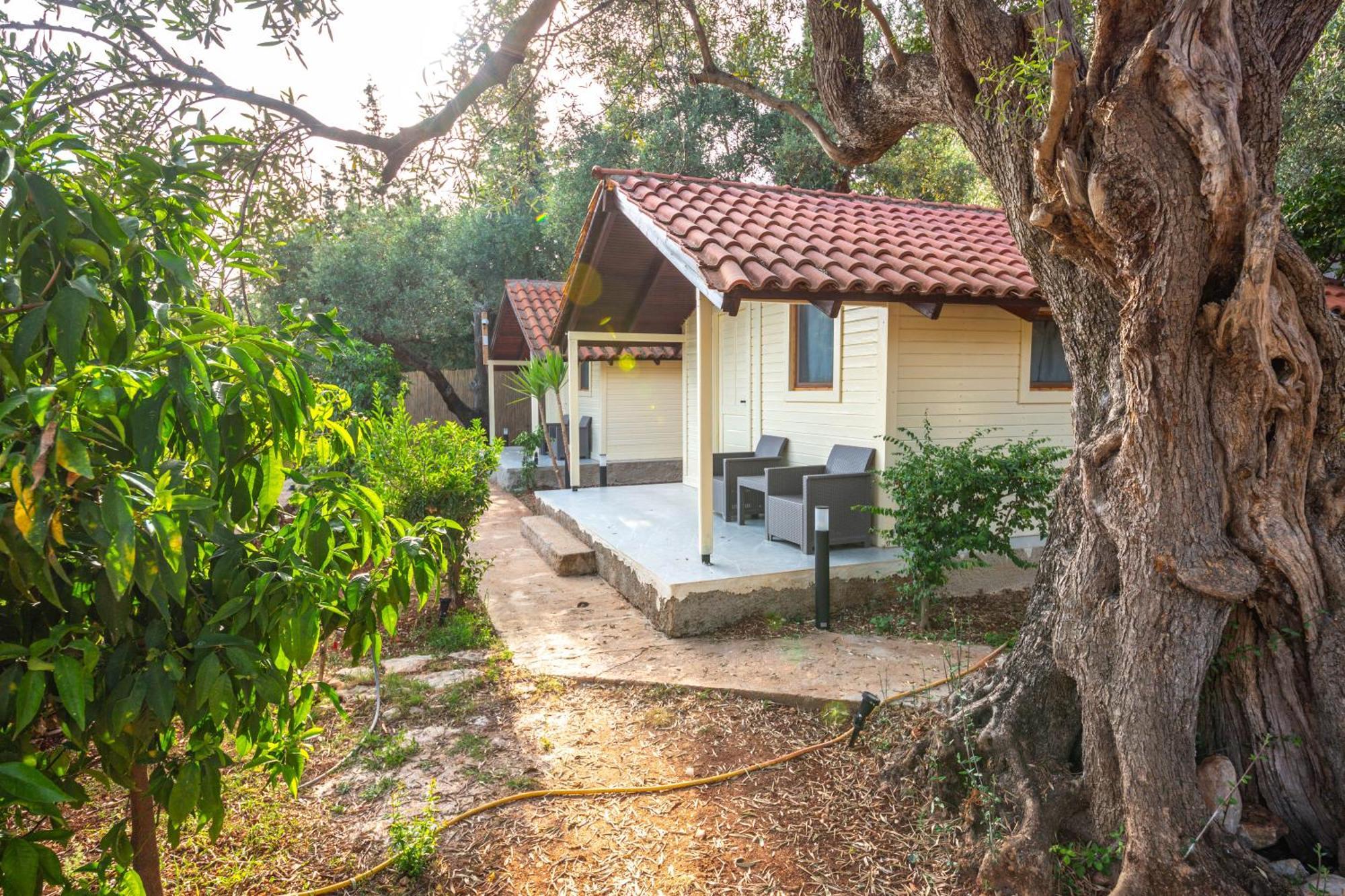 Shen Nikolla 3* Dhermi